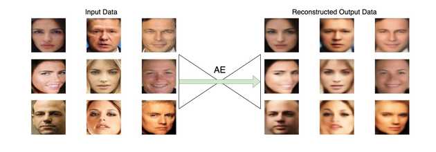 loss verify 1 output